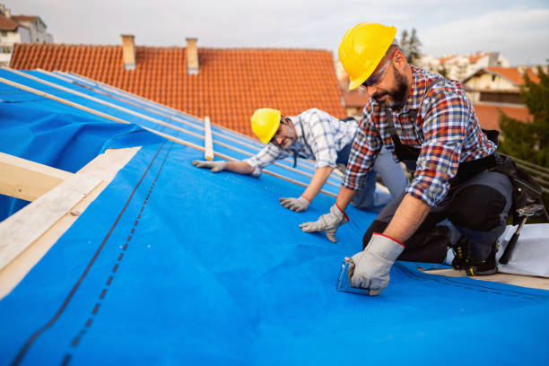 Best Storm Damage Roof Repair  in Flat Rock, MI