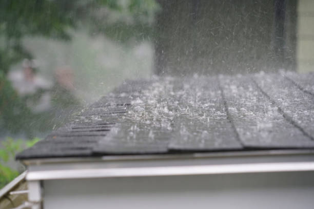 Best Solar Panel Roofing Installation  in Flat Rock, MI