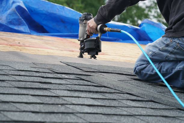 Best Roof Maintenance and Cleaning  in Flat Rock, MI