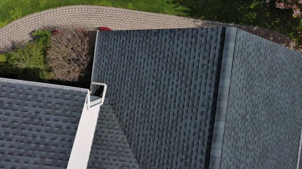 Best Roof Moss and Algae Removal  in Flat Rock, MI